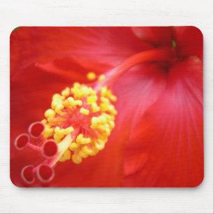 Hibiscus vermelho Mousepad