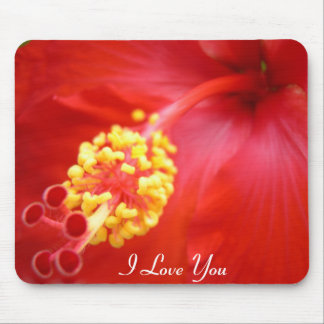 Hibiscus vermelho Mousepad - seu texto!