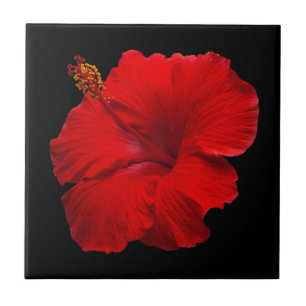 Hibiscus vermelho no preto - modelo personalizado