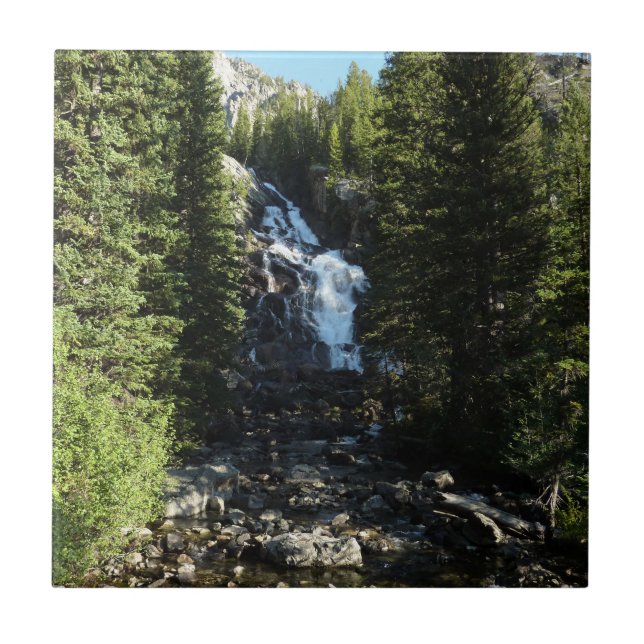 Hidden Falls no Parque Nacional Grand Teton (Frente)