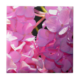 Hídrangas elegantes florais cor-de-rosa romântico