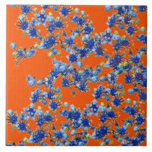 hidrangea laranja e azul