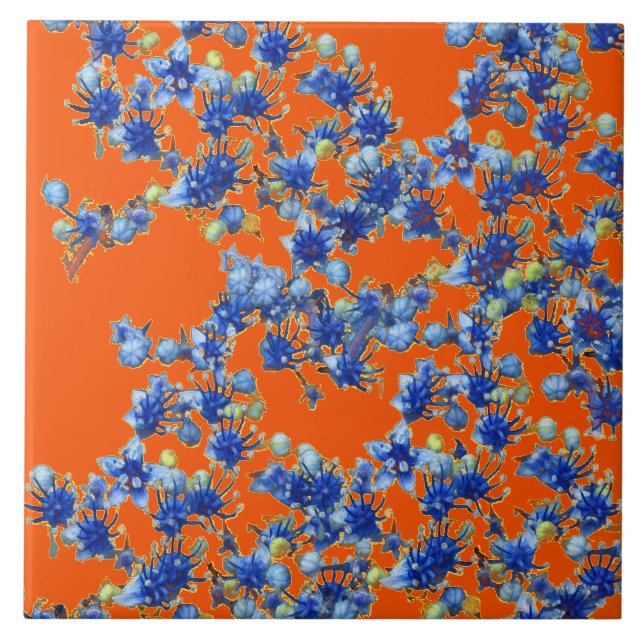 hidrangea laranja e azul (Frente)