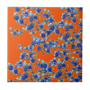 hidrangea laranja e azul