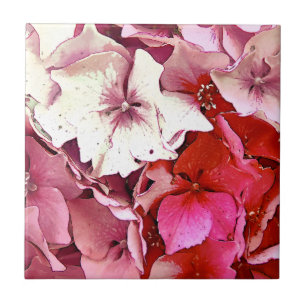 HIDRANGÉAS DE ROSA