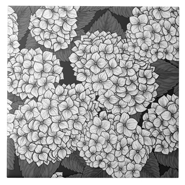 Hídricas brancas (Frente)