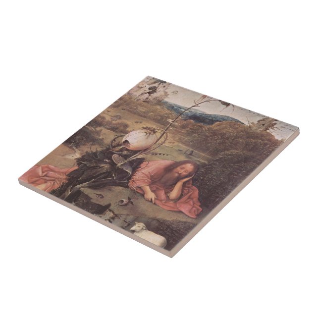 Hieronymus Bosch-St. John The Baptist na meditação (Lateral)