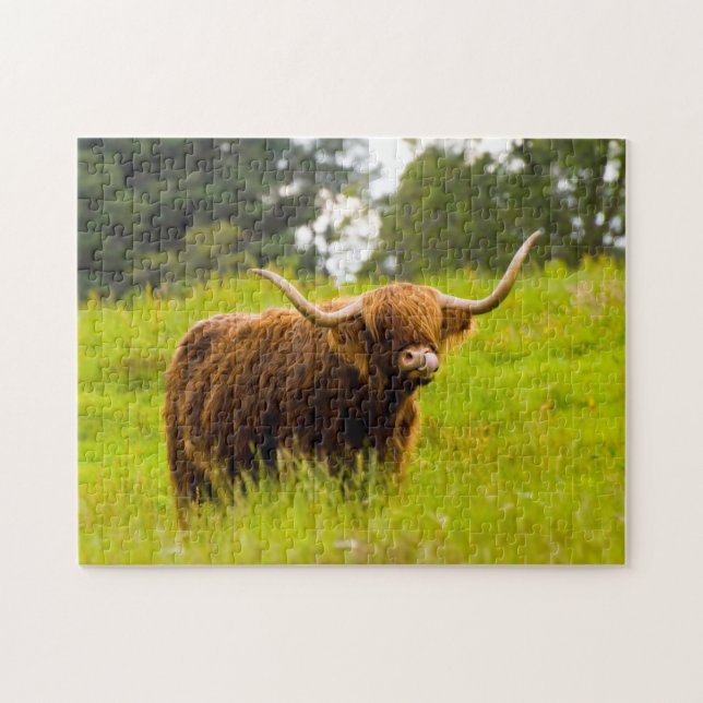 Highland Cow Jigsera quebra-cabeça (Horizontal)