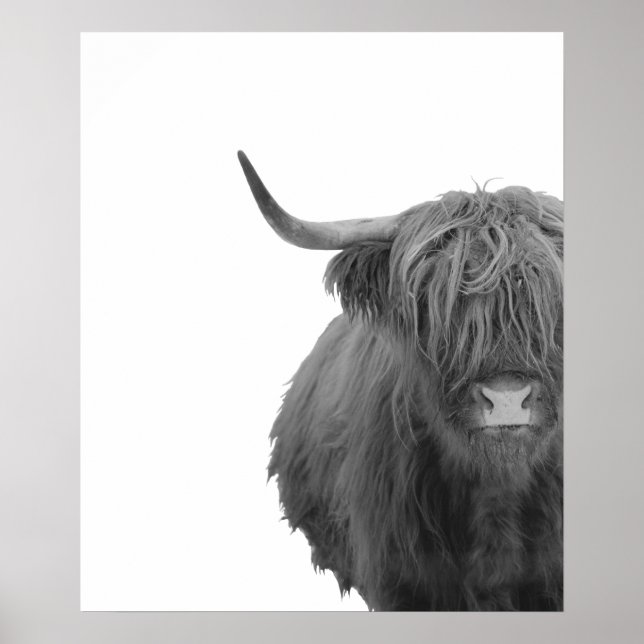 Highland Cow Scotland Rustic Black White Poster (Frente)