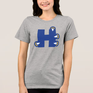 Hilbert College H
