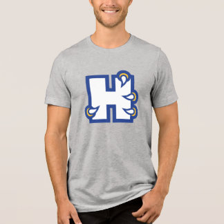 Hilbert College H
