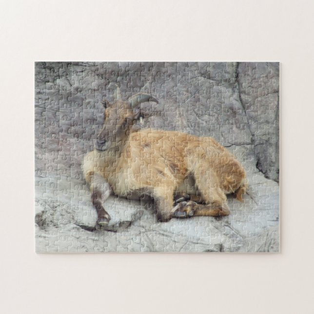 Himalayan Tahr Quebra-cabeça (Horizontal)