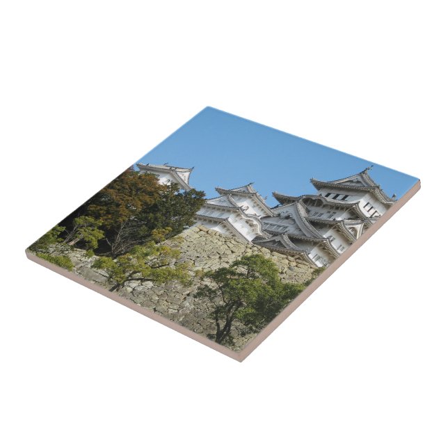 Himeji Castle 姫 路 城, Hyogo, Japão (Lateral)