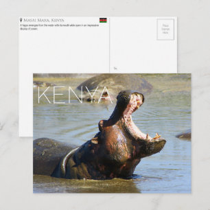 Hipopótamo no Masai Mara, Quênia Cartão Postal de 