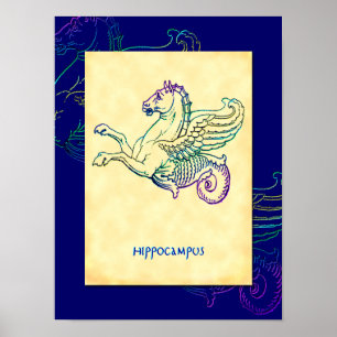 Hippocampus Sea Horse Vintage Art Poster