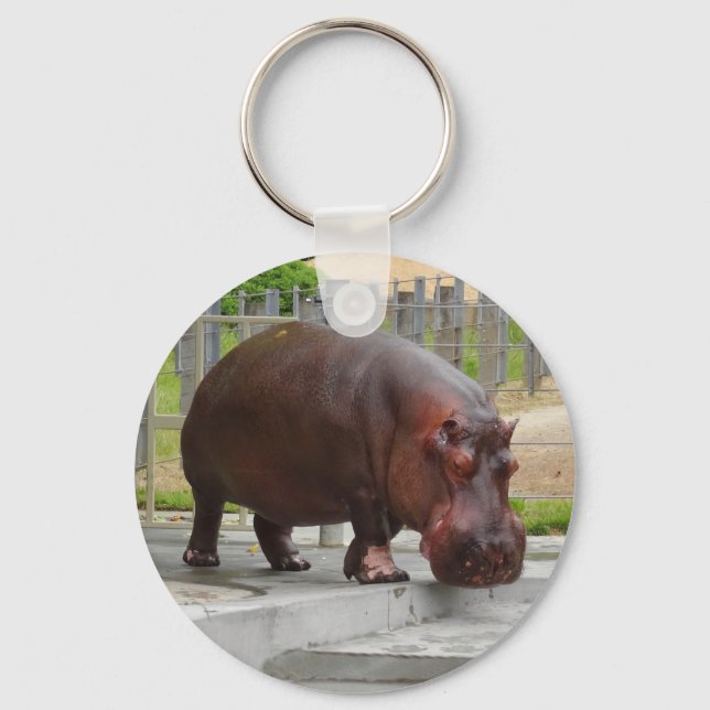 Hippopotamus nº 2 Chaveiro (Frente)