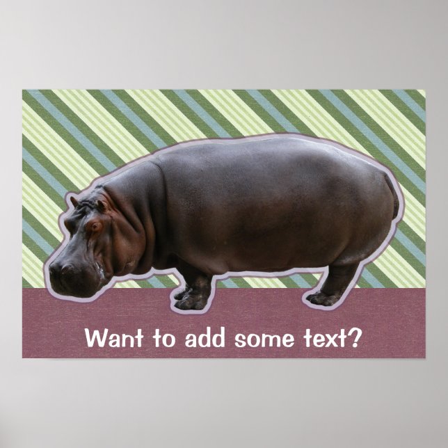 Hippopotamus Poster (Frente)