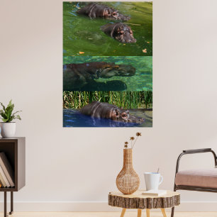 Hippos Felizes Em Um Pond, Poster