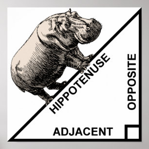 Hippotenusa Hipotenusa Matemática Divertida Pôster