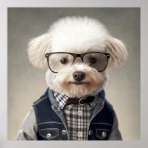 Hipster Maltipoo Poster