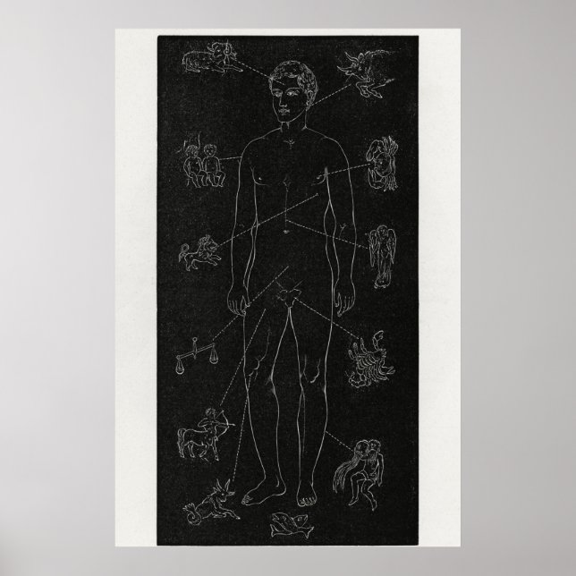 Hiram Eratus Butler - Poster de Biologia Solar (Frente)