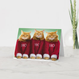 Ho Ho Ho Três Gatos Feliz Cartão de Saudação de Na