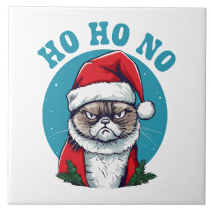 Ho ho não - gato engraçado e rabugento do Papai No