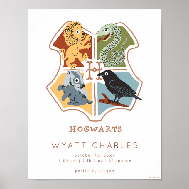 HOGWARTS™ Cartoon Baby Birds Stats Poster (Frente)