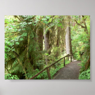Hoh Valley RainForest Trail Poster