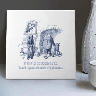 Holandês Delft Wilhelm Busch Inspirou Decoração Re