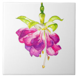 Holi on a Ceramic Tile (A)