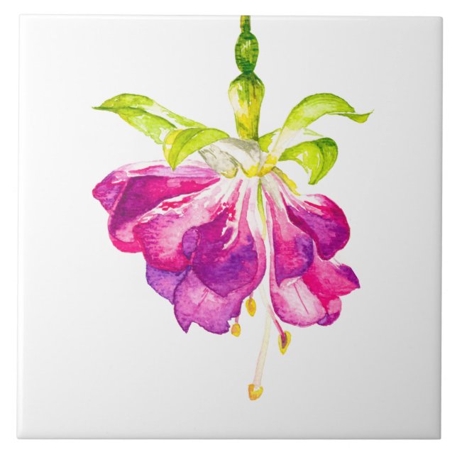 Holi on a Ceramic Tile (A) (Frente)