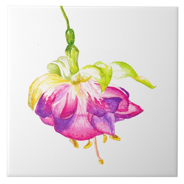 Holi on a Ceramic Tile (B) (Frente)