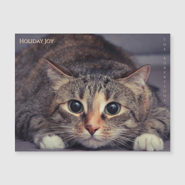 Holiday Joy Fun Magnetic Pet Photo Christmas (Frente)