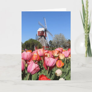 Holland, Michigan, cartão