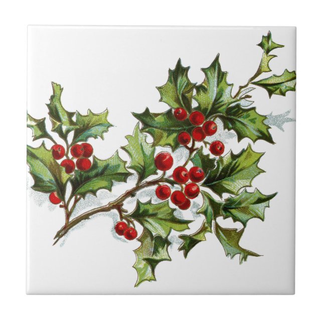 Holly Berries 001 (Frente)