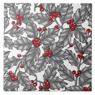 Holly berry, gray leaves on white