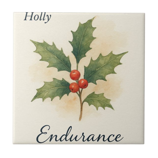 Holly — Endurance (Frente)