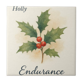 Holly — Resistência