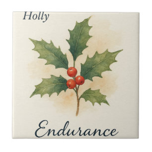 Holly — Resistência