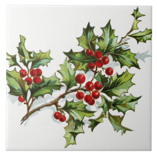 HollyBerries20150801 (Frente)