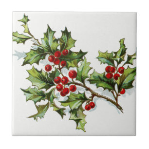 HollyBerries20150802