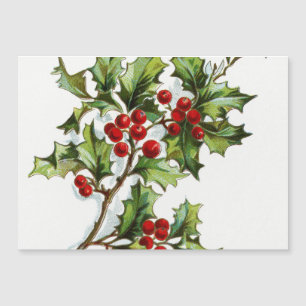 HollyBerries20150802