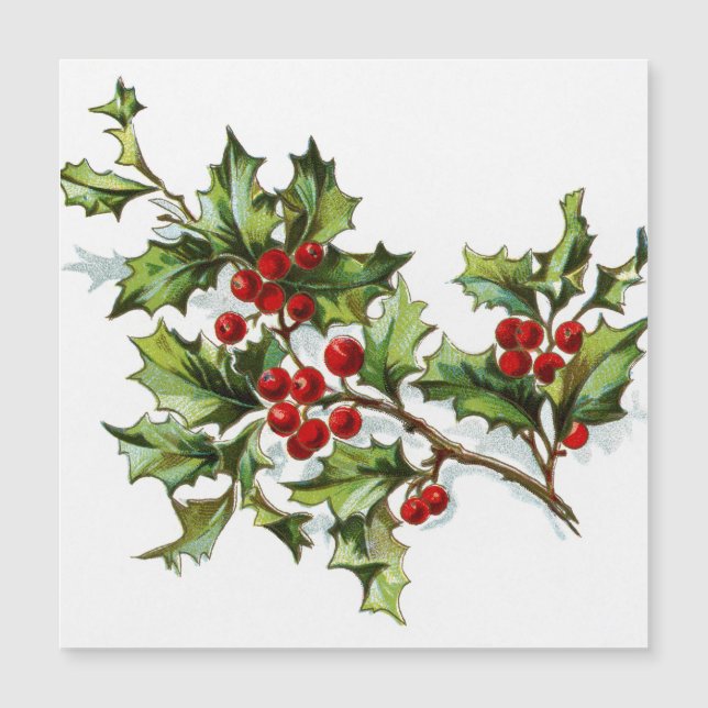 HollyBerries 002 (Frente)