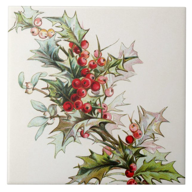 HollyBerries 004 (Frente)