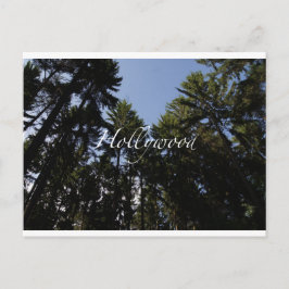 Hollywood - Cartão Saudável