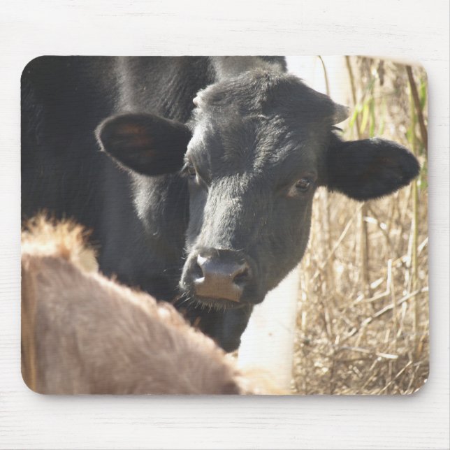 Holstein Bull Mousepad (Frente)