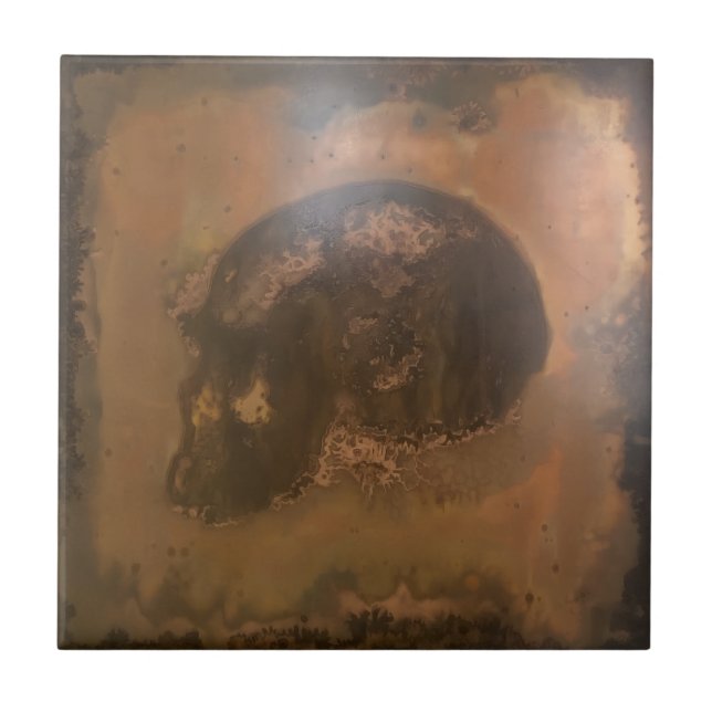 Home & Living > Home Décor > Home Accents > Decora (Frente)