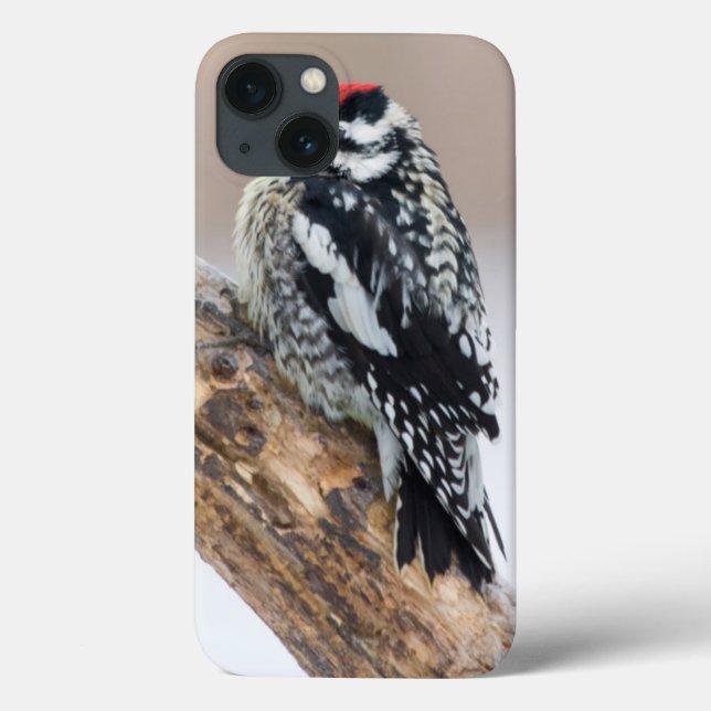 Homem-bode-saco-de-barriga-amarela (Verso)