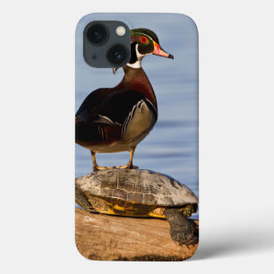 Homem do pato de madeira que está em slider